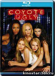 Смотреть онлайн Бар Гадкий койот / Coyote Ugly (2000) НD